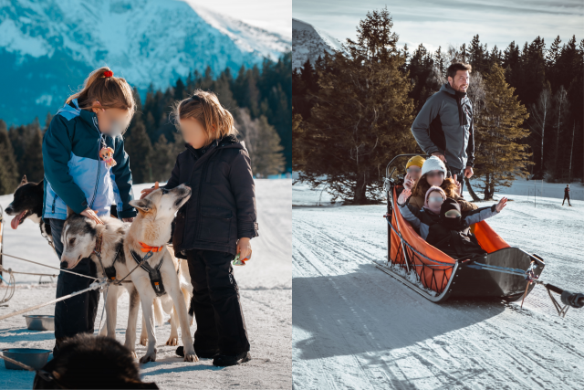 dogsledding Chamrousse - © SAS Barbot - Chiens de traineaux Chamrousse dogsledding Chamrousse