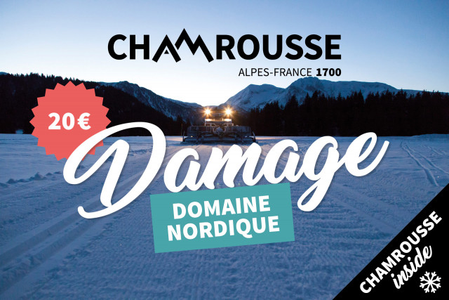 Expérience Damage domaine nordique Chamrousse