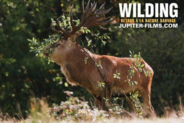 Animations nature par l'ADHEC_Chamrousse