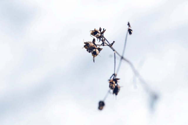 Winter land art walk in Chamrousse - © Isabelle Bronner Winter land art walk in Chamrousse