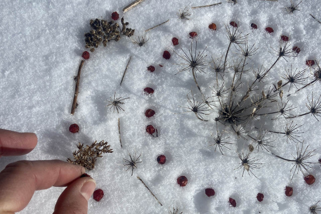 Land art walk Land art walk