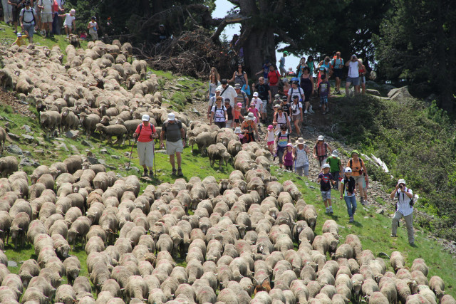 Chamrousse Celebration of seasonal migration - © EG - OT Chamrousse Chamrousse Celebration of seasonal migration