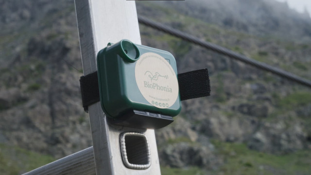 A close-up view of a bioacoustic recorder - Chamrousse - © Léo Previtali A close-up view of a bioacoustic recorder - Chamrousse