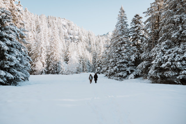 Forest bath_Chamrousse