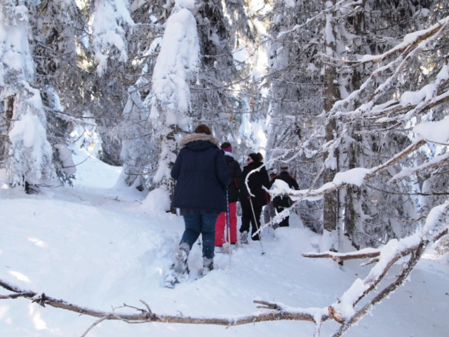 Chamrousse tour guides office's snowshoe outing