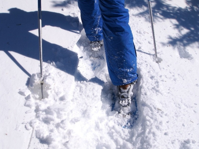 Chamrousse tour guides office's snowshoe outing