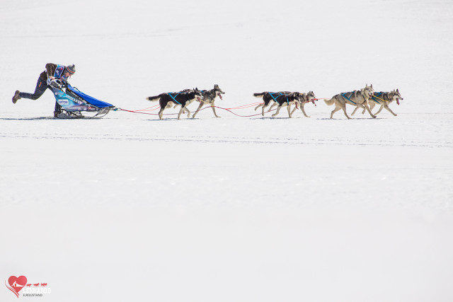Chamrousse Lekkarod Sled Dog Race