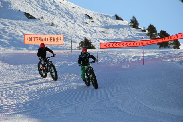 Fat bikes