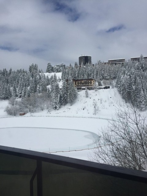 800x600-gk-1978680-vernon-1983225