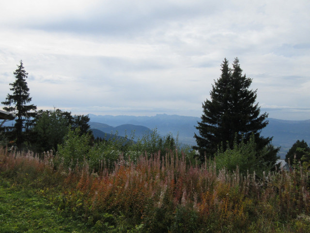 Vue été