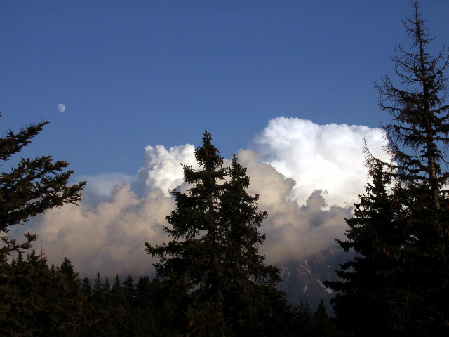 _lv_images__lot_0016010230_09_5674234