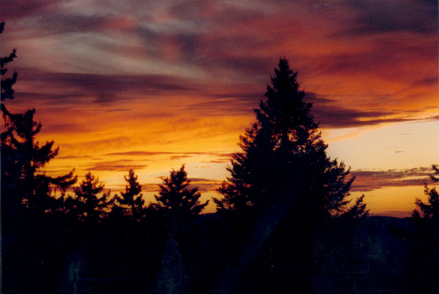 _lv_images__lot_0016010230_12_5701365 _lv_images__lot_0016010230_12_5701365