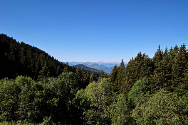 Vue été