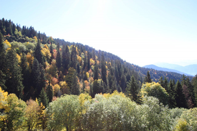 _lv_images__lot_0016190239_08_6408639