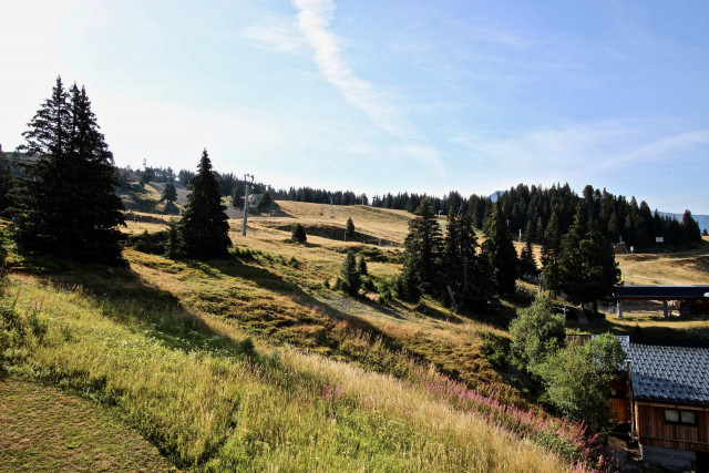 Vue été