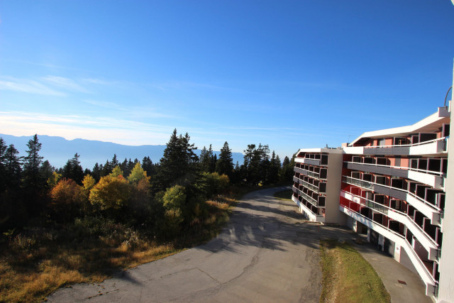 _lv_images__lot_0016190310_10_6016614 _lv_images__lot_0016190310_10_6016614