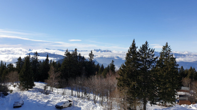 _lv_images__lot_0016190310_11_6379350