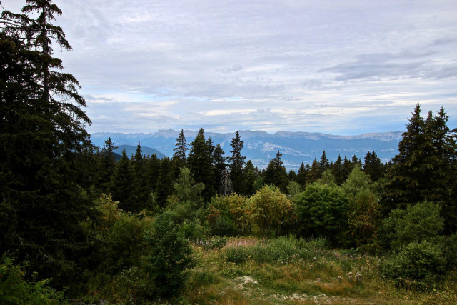 Vue été
