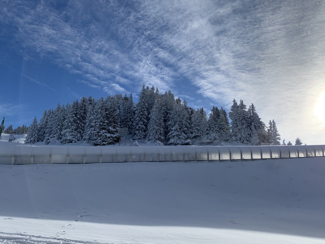 _lv_images__lot_0016190316_09_6443408