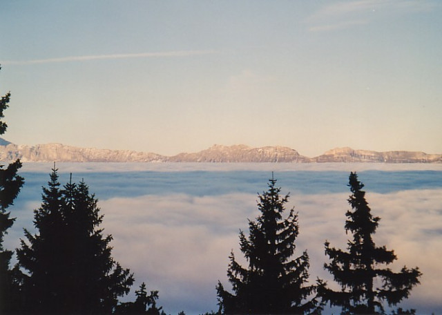 _lv_images__lot_0016190377_16_6379204