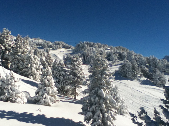 _lv_images__lot_0016190401_09_6379303