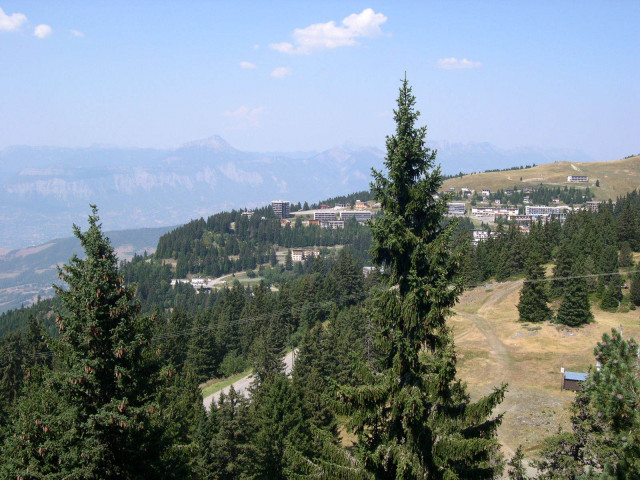 _lv_images__lot_0016190420_11_6011482