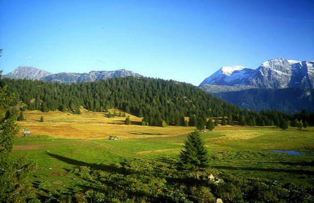 _lv_images__lot_0016190428_13_5827997