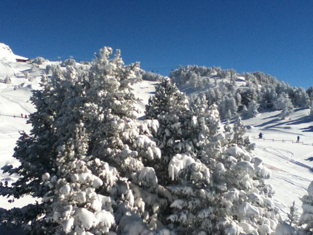 _lv_images__lot_0016190451_12_6376025