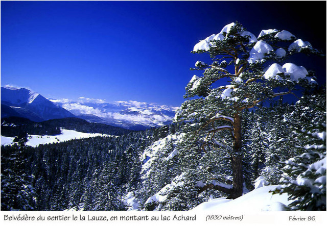 _lv_images__lot_0016190453_13_6375967