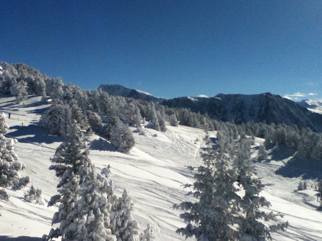 _lv_images__lot_0016190454_11_6367408