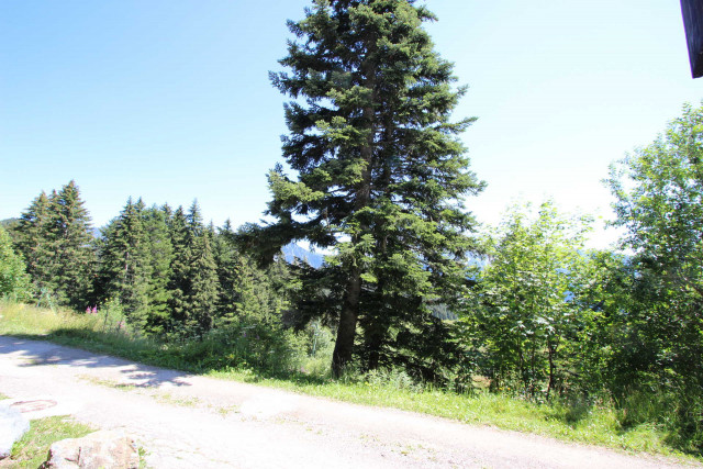 _lv_images__lot_0016190460_05_5627443