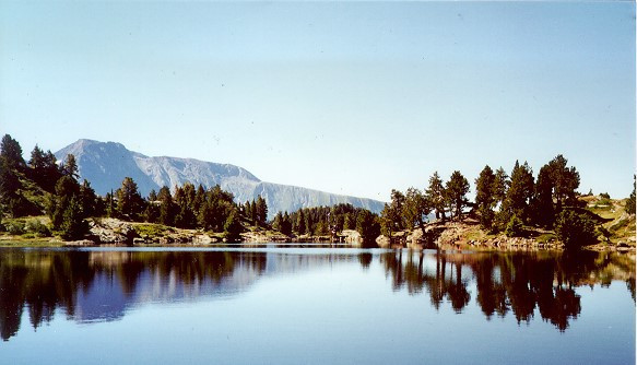 _lv_images__lot_0016190469_12_6426447 _lv_images__lot_0016190469_12_6426447