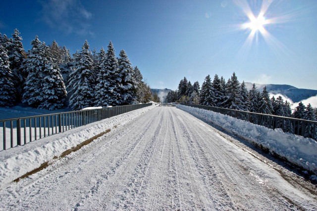 _lv_images__lot_0016190476_10_6059463