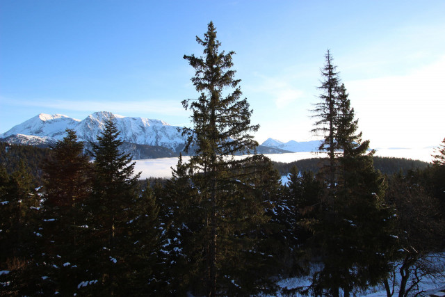 Vue hiver