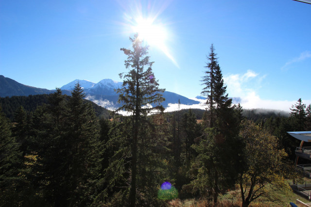 _lv_images__lot_0016190492_16_6079408