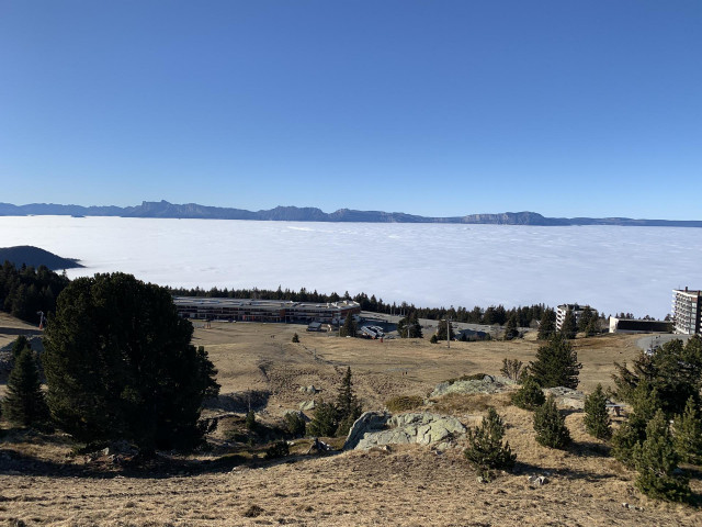 _lv_images__lot_0016190528_12_5673754