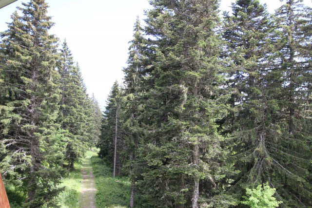 _lv_images__lot_0016190535_16_6100558