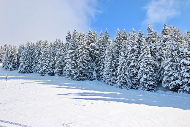 _lv_images__lot_0016190553_08_5925611