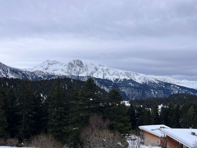 _lv_images__lot_0016190584_12_5926822