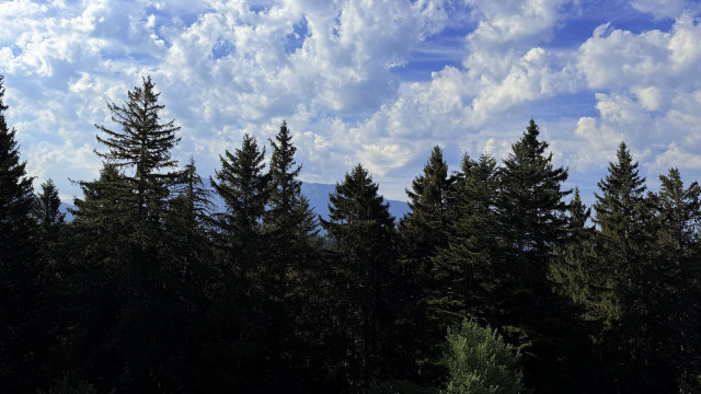 _lv_images__lot_0016190594_06_6426044