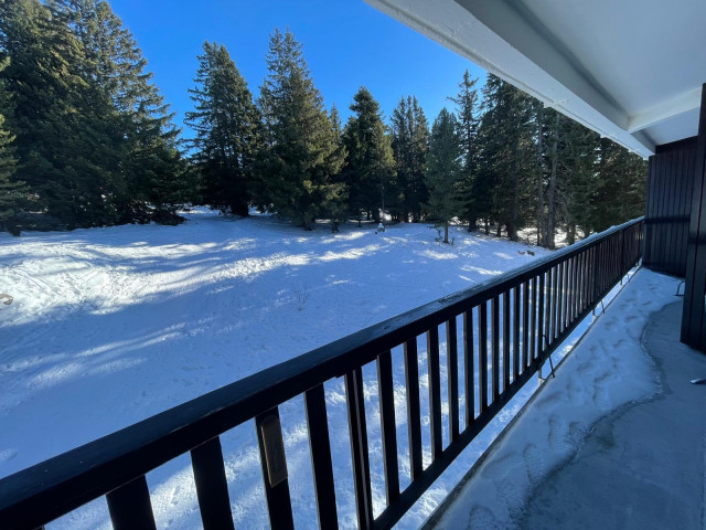 Chamrousse réservation location appartement 6 personnes 45m² panoramic station ski montagne grenoble isère alpes France