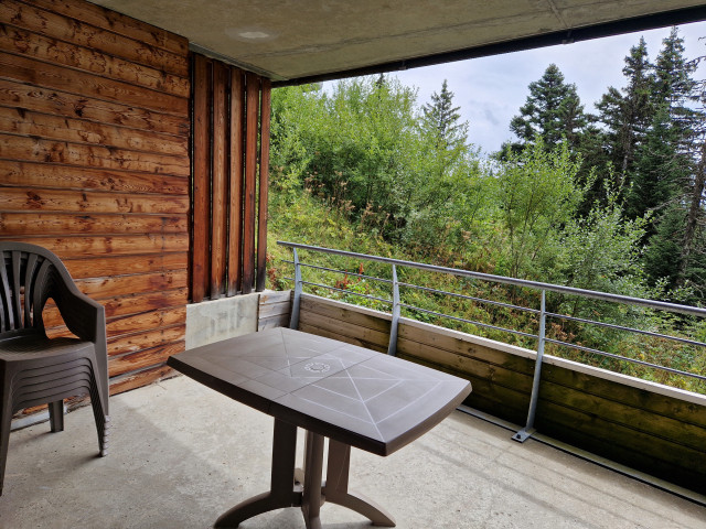 exterieur-balcon-2pc6-l-ecrin-des-neiges-chamrousse