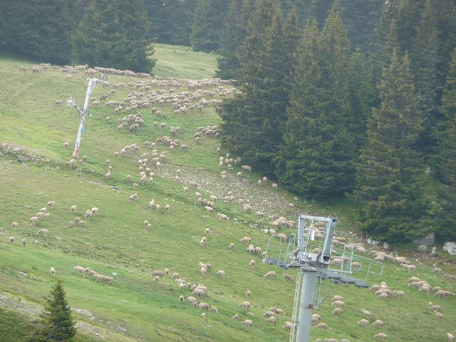 Extérieur balcon La Lauzière 68 Chamrousse