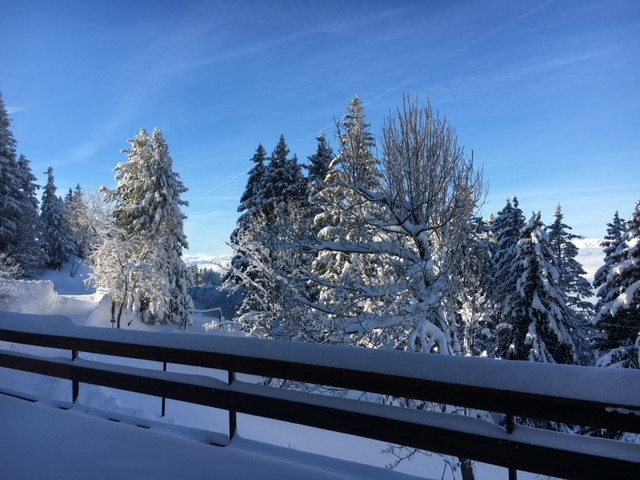 Chamrousse réservation location chalet 6 pièces, 9 personnes 180m² Le chalet Colas station ski montagne grenoble isère alpes France