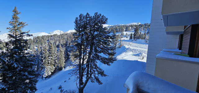 Extérieur L'Edelweiss 427 Chamrousse