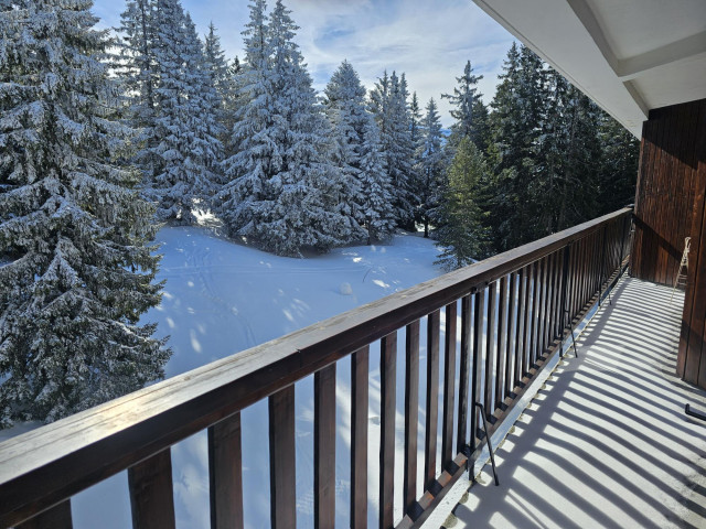 extérieur-terrasse-hiver-panoramic613-chamrousse