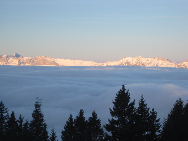 exterieur-vue-1-chalet-artemis-6455281