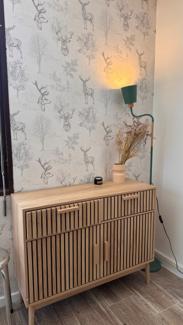 hippocampe-11-meuble-s-jour-4486464