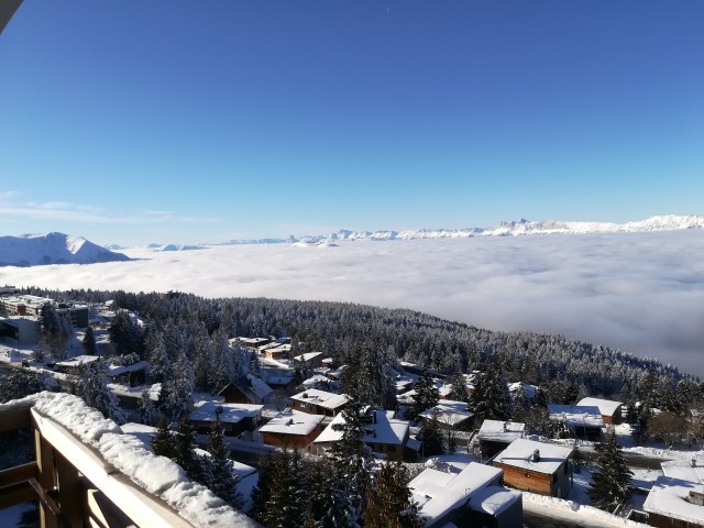 img-20210107-103451-2245702