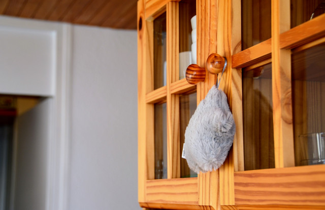 Intérieur placard 2P5 Carline 201 Chamrousse